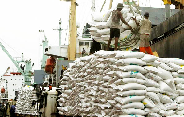 Rice Production, Nigeria, Self-Sufficiency