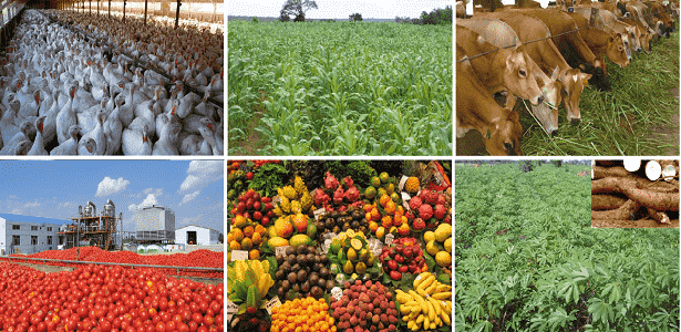 Nigeria Federal Government spends N9 billion on food sufficiency