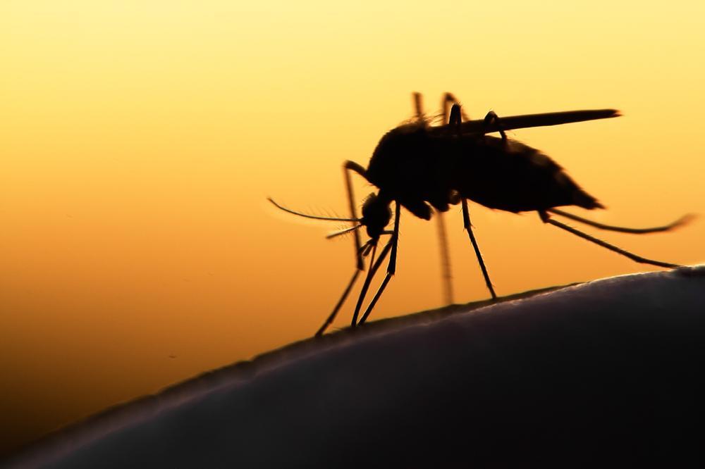 Malaria: Cases Drop To 27 % In Nigeria – Minister