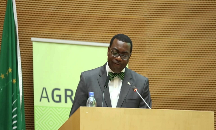AfDB To Invest $24bn In Agriculture – Adesina