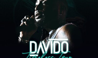 Davido's Timeless Tour In Abuja This December | Fab.ng