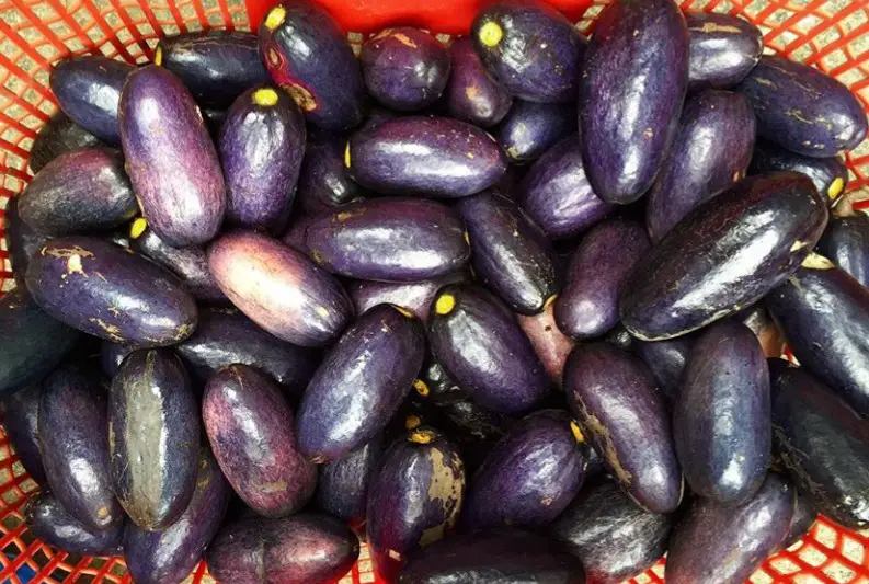 9 Potent Benefits Of Nigerian Pear (Ube) | Fab.ng