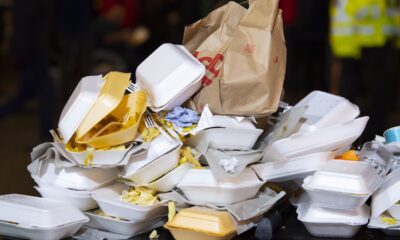 What Is Your Take On The Styrofoam Ban | Fab.ng