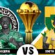 AFCON 2024: Super Eagles Are Heading For The Finals | Fab.ng