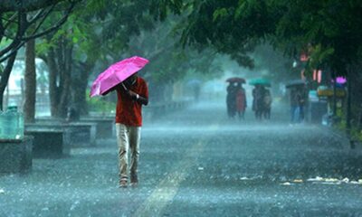 Rainy season: health and safety tips for the season | fab.ng
