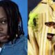 Fireboy Says Lagbaja Was Masked Up In The Studio | fab.ng