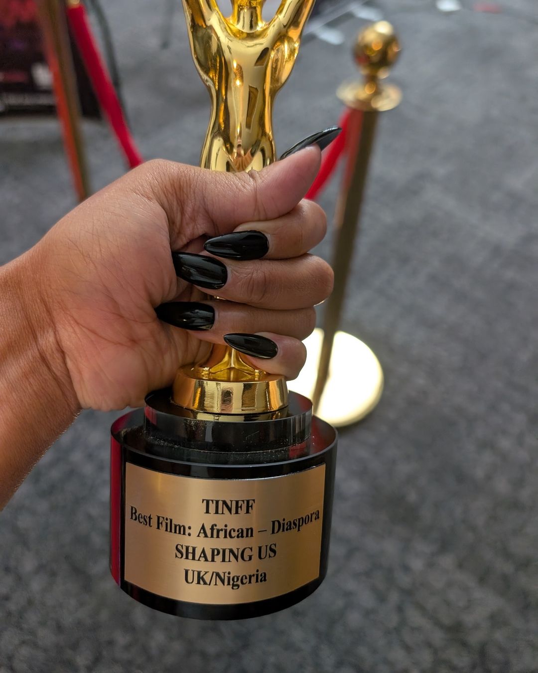 "Shaping Us" Wins Best Film, African Diaspora At TINFF | fab.ng