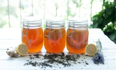 How To Make Kombucha Tea In Nigeria | fab.ng