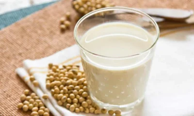 Homemade Soy Milk Recipe | fab.ng