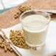 Homemade Soy Milk Recipe | fab.ng