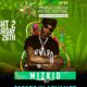 Wizkid to headline Dominica’s World Creole Music Festival | fab.ng