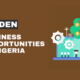 Business Opportunities In Nigeria | fab.ng