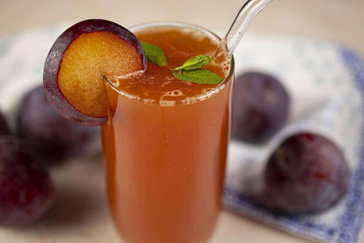 Plum Juice Recipe | fab.ng